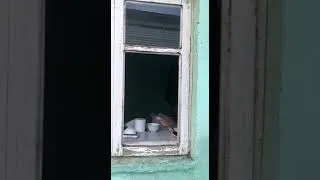 Нападение на дом Жанмурата Аштаева, #Шымкент, 23:30, 07.01.2022.