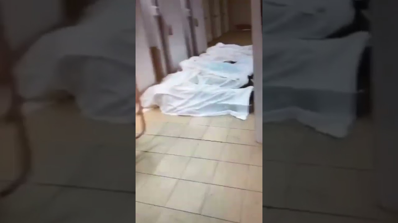 БОТА ДЖАРДЕМАЛИ: Instagram: @botajardemalie