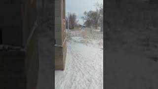 В день мирного митинга ведётся незаконное наружное наблюдение у дома активистки Гульнур Шабденова.