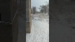 В день мирного митинга ведётся незаконное наружное наблюдение у дома активистки Гульнур Шабденова.